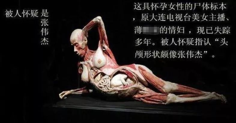 尸体工厂_尸骨工厂电影_死尸工厂