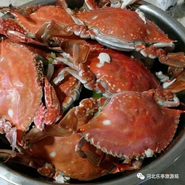 【乐亭美食】乐亭海鲜蒸煮攻略,爱吃海鲜的小伙伴快来围观吧!