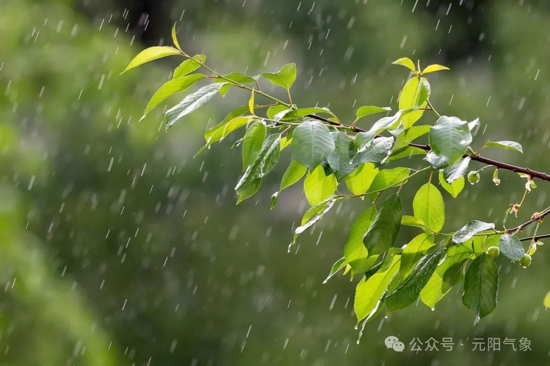 2024年05月03日 元阳天气