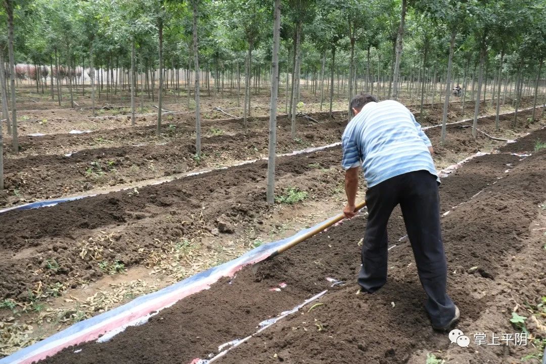 致富养殖好项目_致富养殖项目_致富经养殖