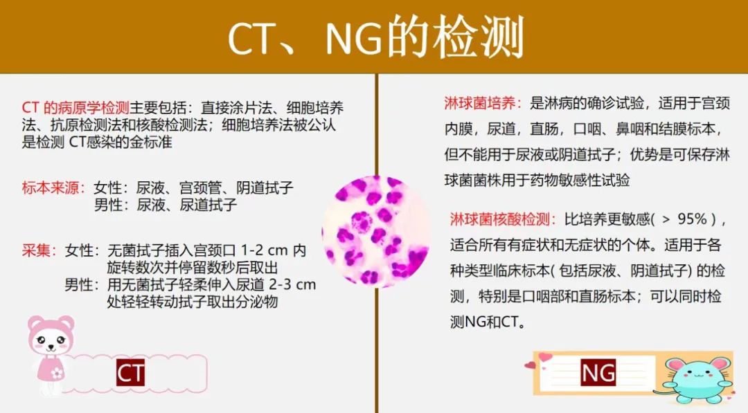 std发病率逐年上升，ct/ng是其重要传播病原体，应如何做好检测，提前预防？