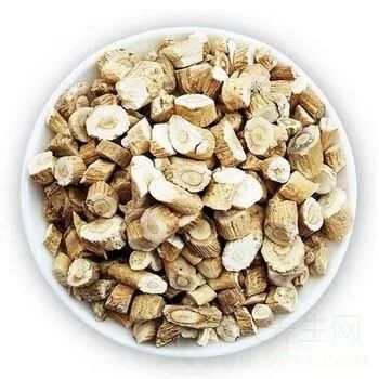 更年期神药：板蓝根的功效与作用及禁忌