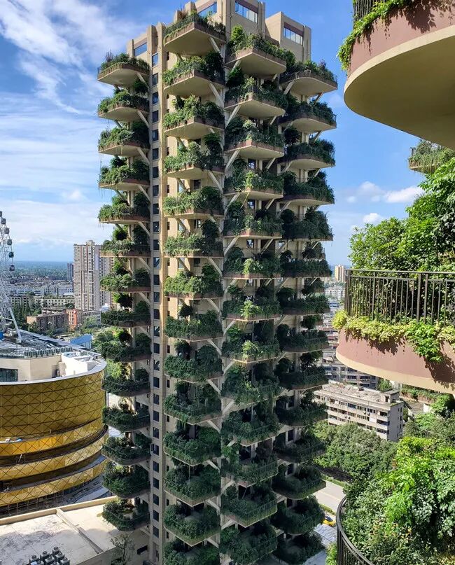 国内首个"第四代住房"外媒走红!