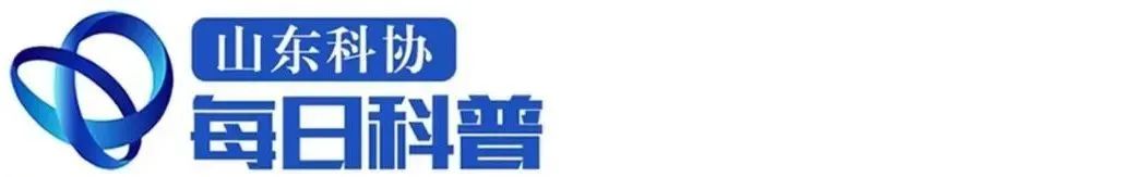 【山东科协每日科普】消炎药就是抗生素吗？抗生素耐药性是怎么回事？