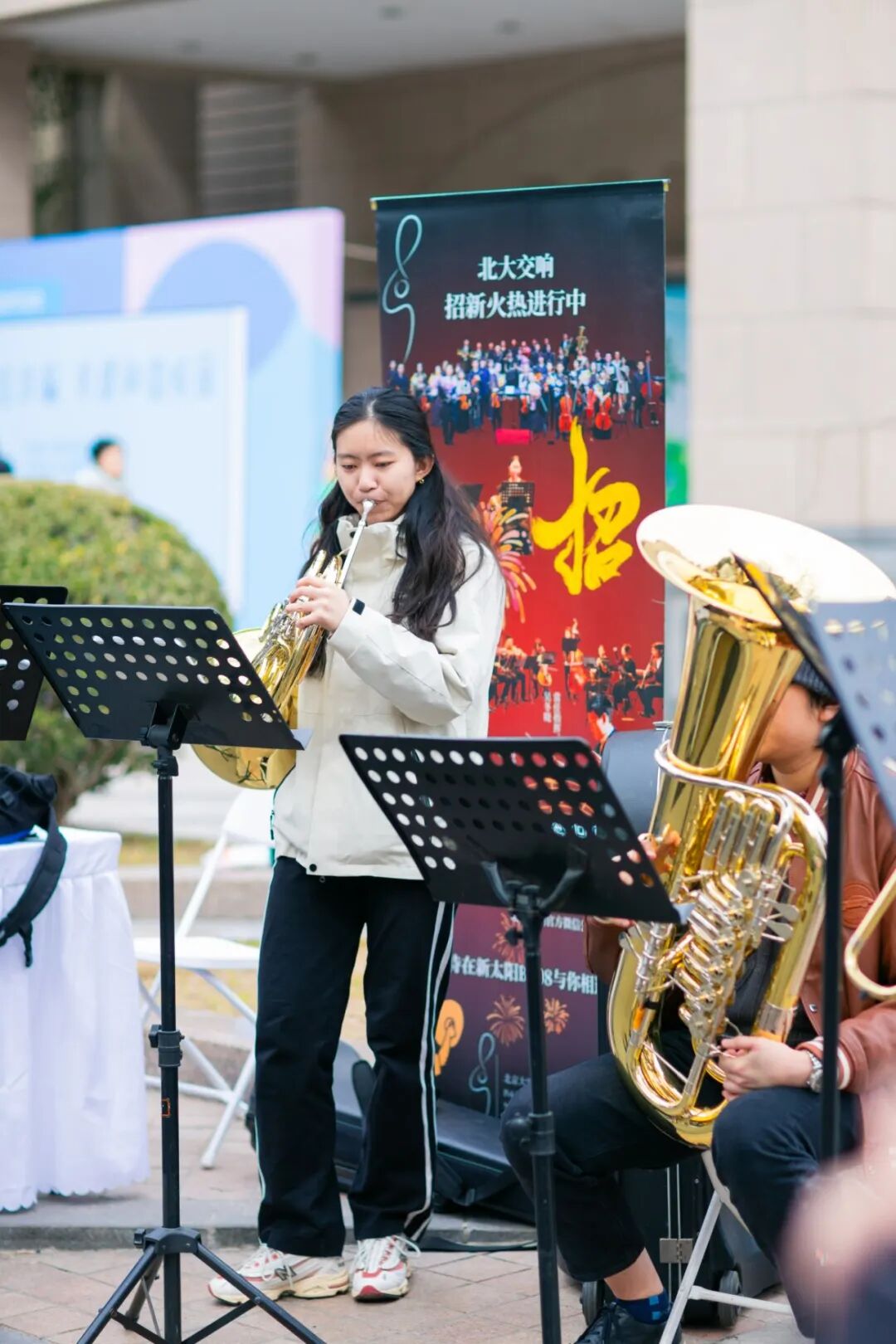 张心怡-北大神树4-静园-24年10月.jpg