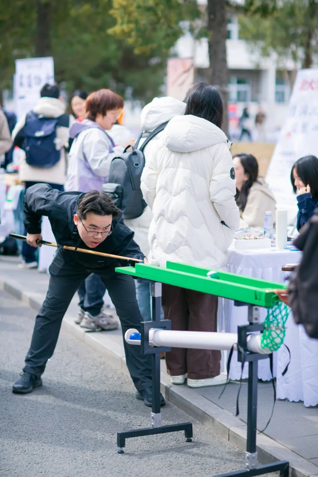 张心怡-北大神树4-静园-24年10月.jpg