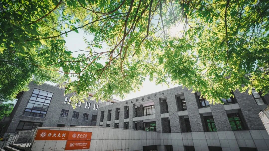 新太阳-张灵馨-1.jpg