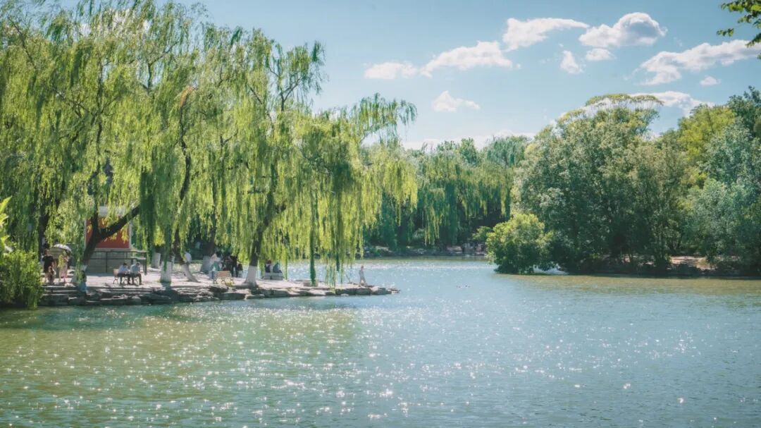 未名湖-张灵馨-3.jpg