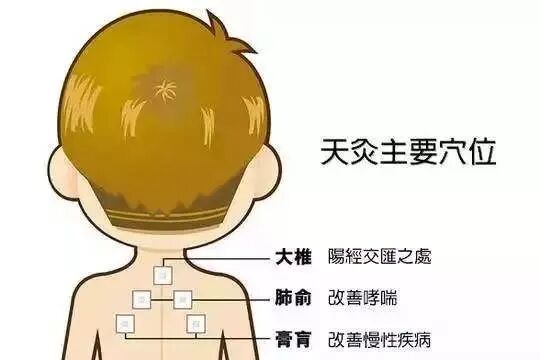 夏病冬治冬病冬防儿童三九贴