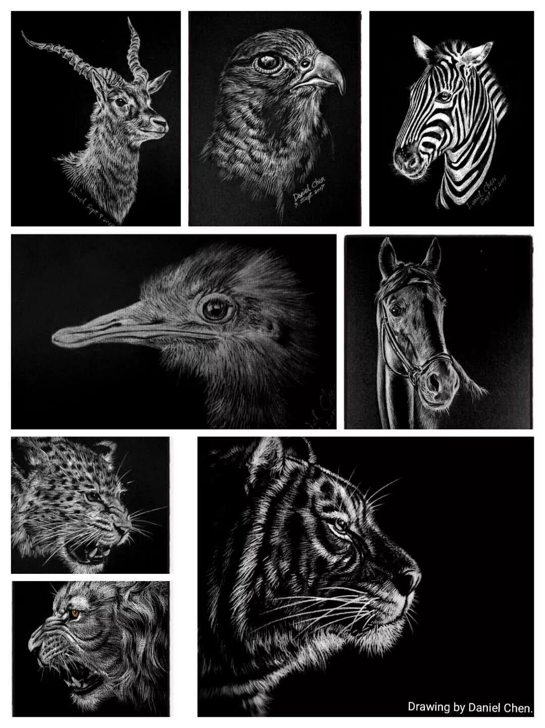 %name 悉尼插画师荣获Oak Furniture冠名赞助的家摄影大赛冠军，他用艺术的眼光发现生活的美