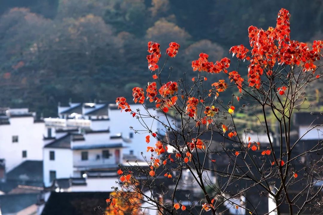 多去旅行，少碰愛情。人這一生一定要去的9個地方 旅遊 第17張