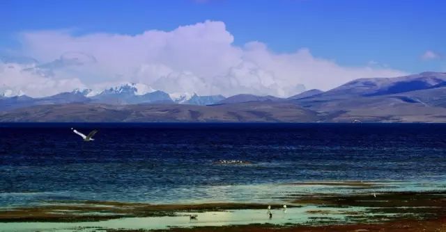 西藏阿裡，探險家和攝影師的天堂 旅遊 第18張