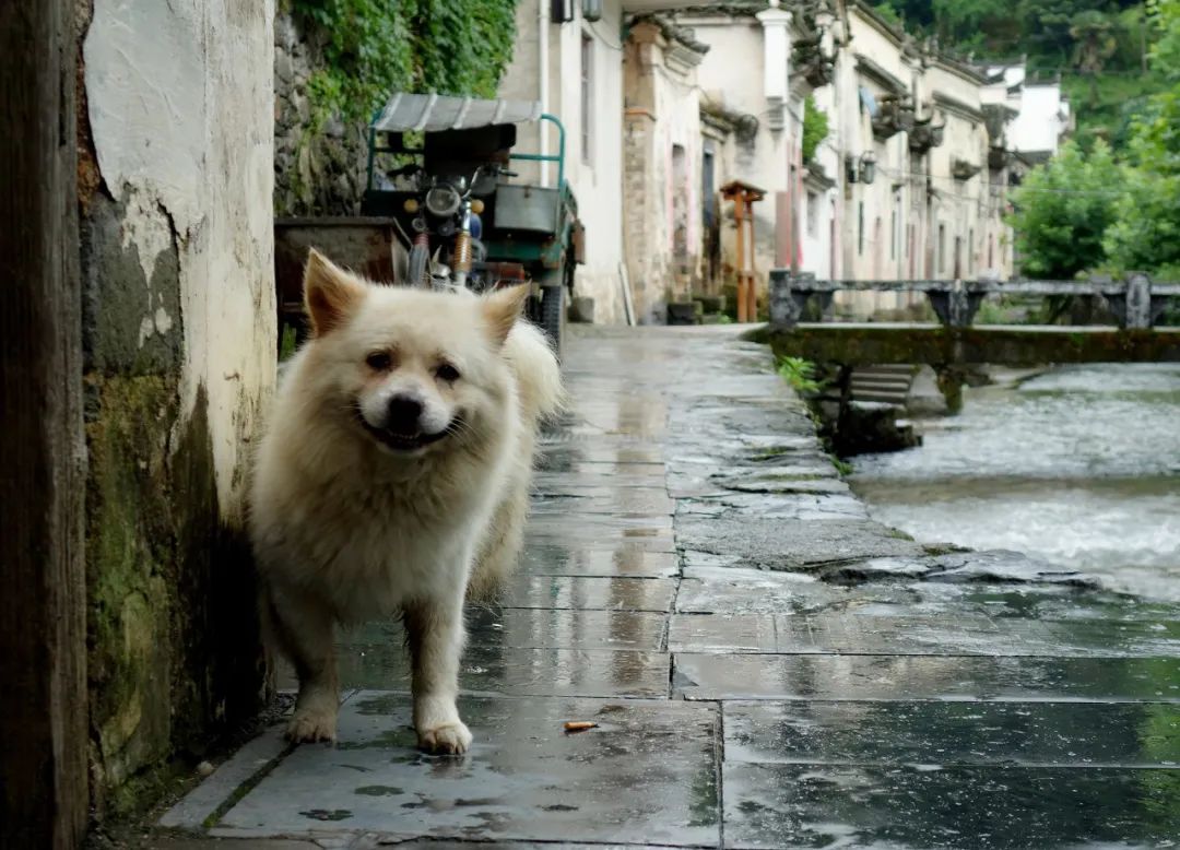 疫情結束後，一定要去這十個地方洗洗肺！ 旅遊 第12張