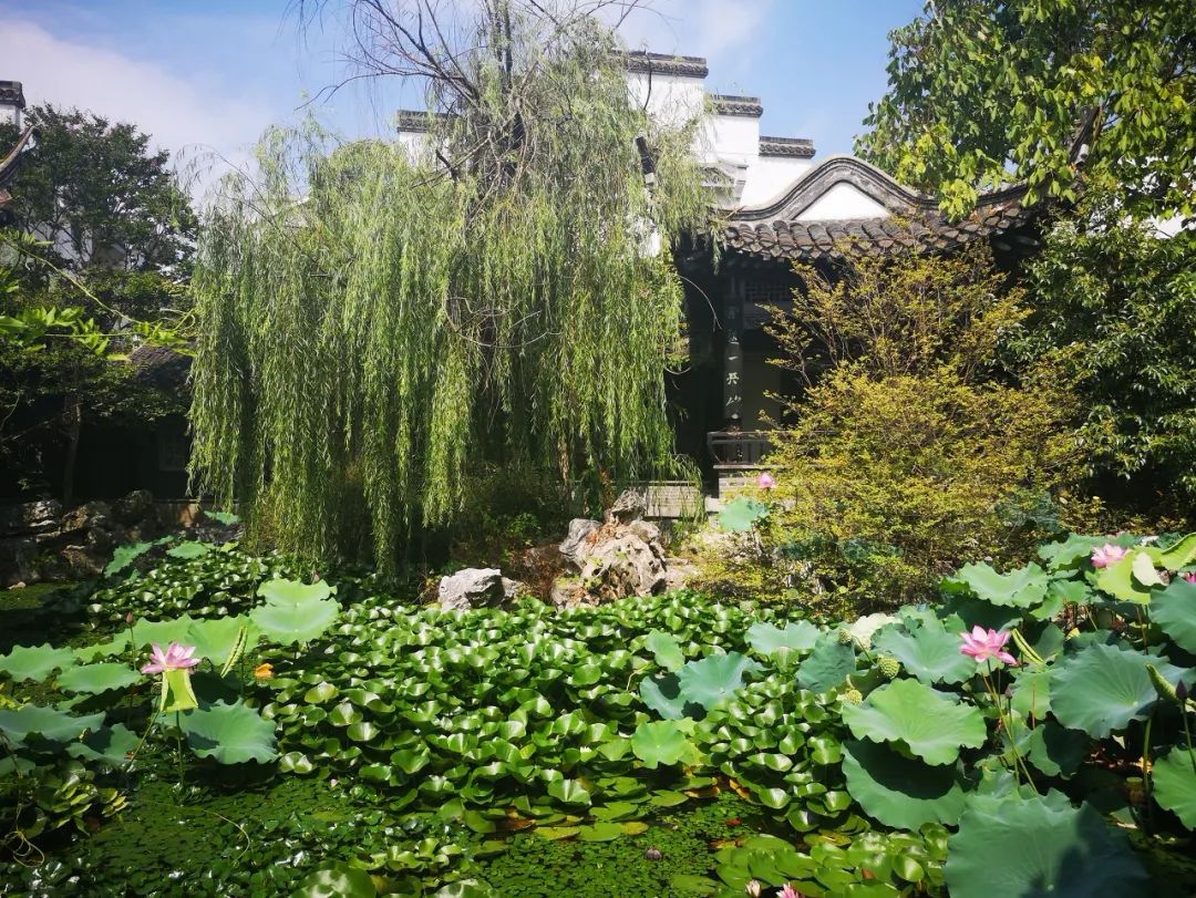 中國最美水上油菜花田，終於藏不住了！距南京不到3h，人民網都點讚！ 旅遊 第37張