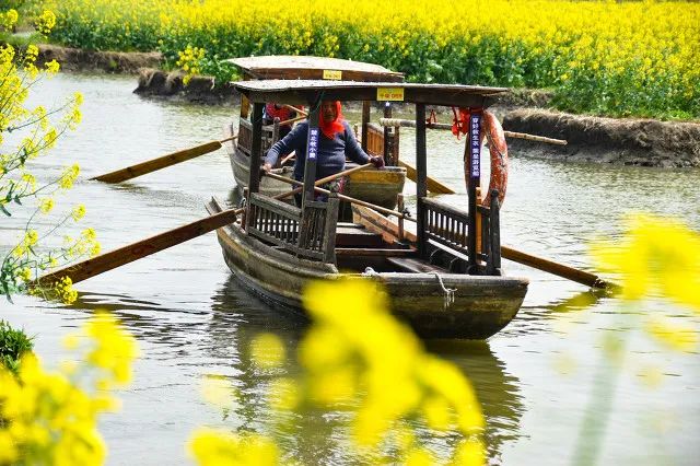 中國最美水上油菜花田，終於藏不住了！距南京不到3h，人民網都點讚！ 旅遊 第12張