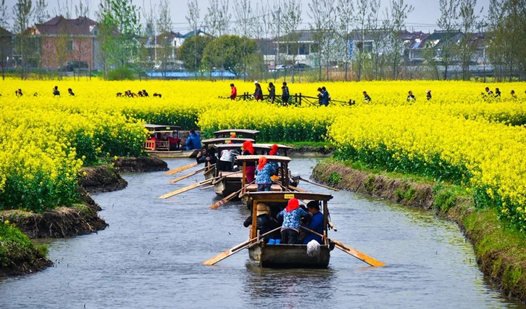 中國最美水上油菜花田，終於藏不住了！距南京不到3h，人民網都點讚！ 旅遊 第11張