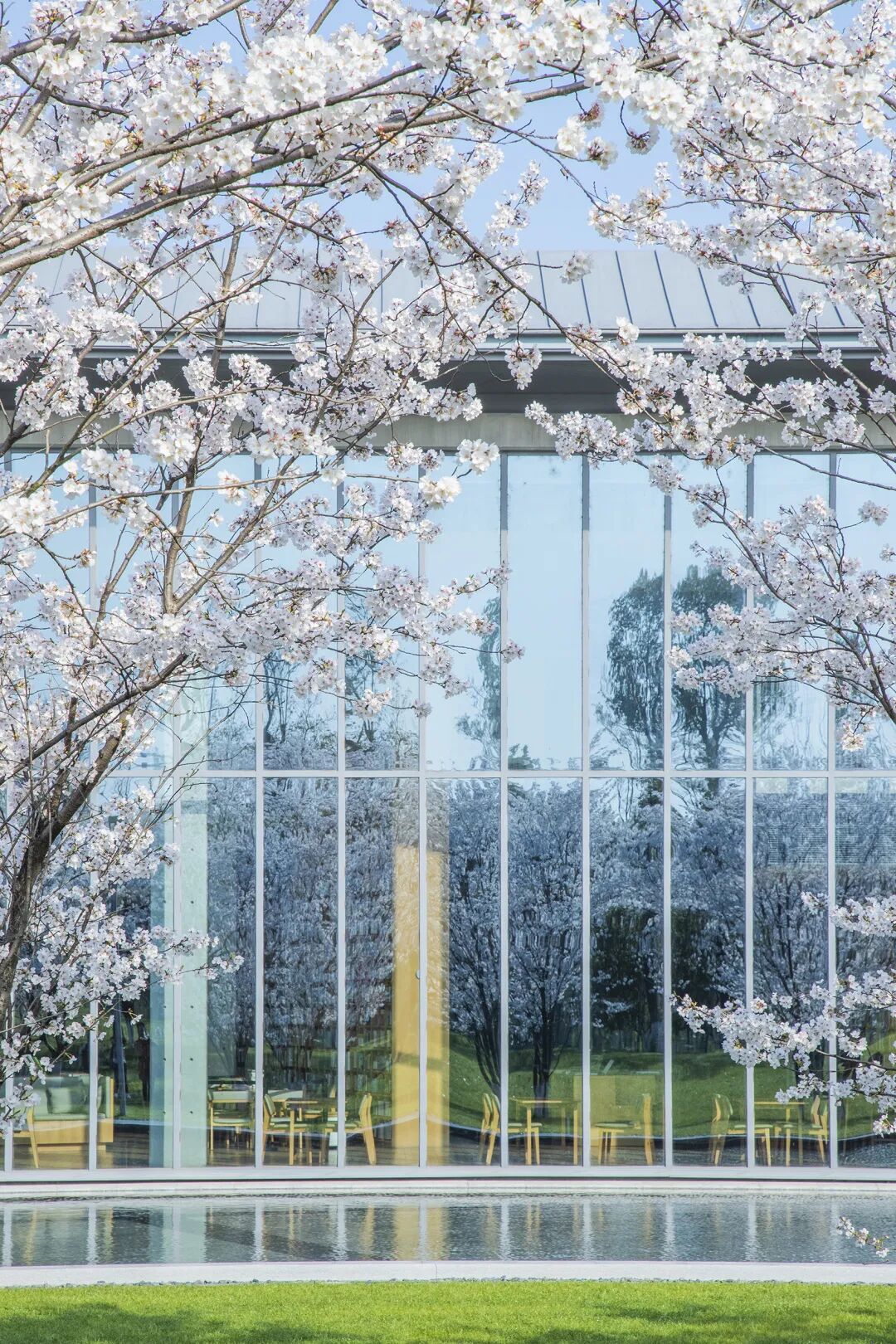 3月最佳旅行地 | 7元嗦粉、5元坐船、0元看花海，中国有的是好看又好吃的地方！