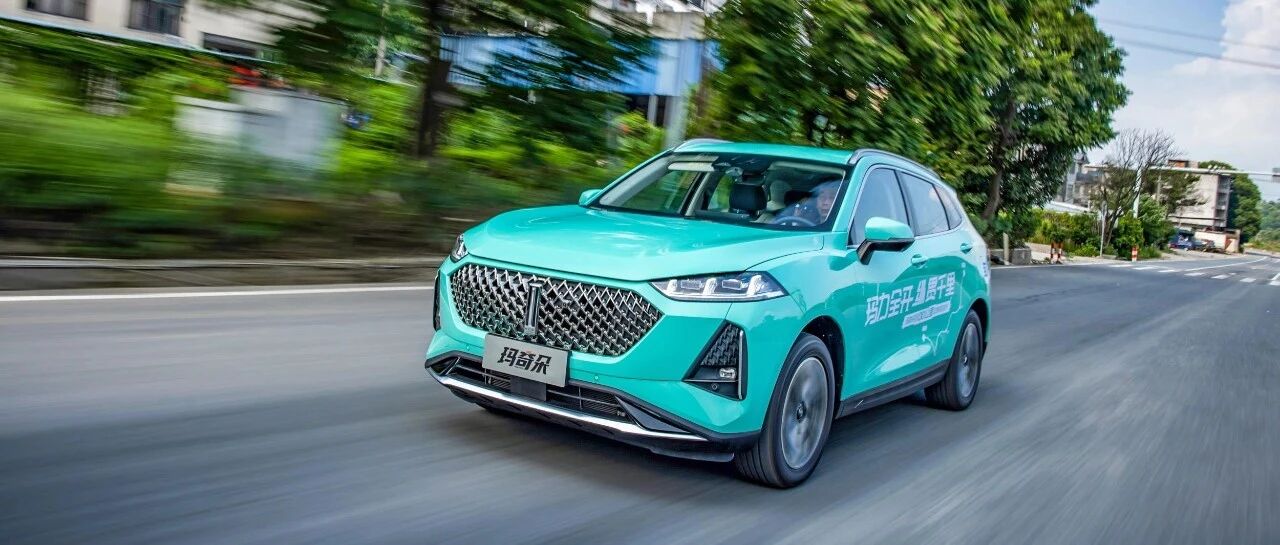 【车试一条】与玛奇朵千里走单骑，车友：混动令人欣“WEY”