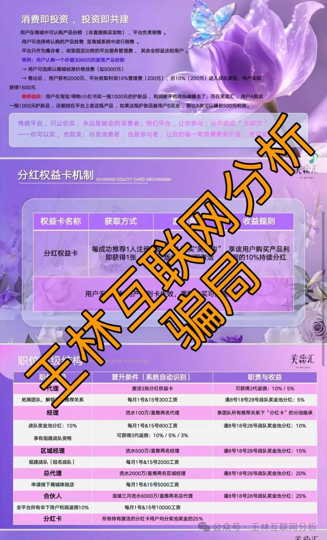 24号曝光‼️最新资金盘诈骗项目：《AllianceX、芙蕊汇、筑星源、玉商圈》马上崩盘跑路