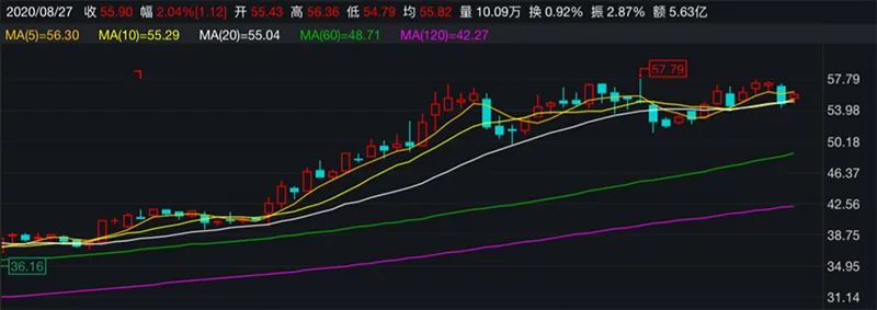 傅鵬博、劉格菘、傅友興、丘棟榮等借道大宗交易，重倉了這些公司…… 財經 第3張