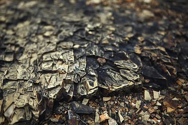 国内期市日间盘铁矿石主力大涨逾7%