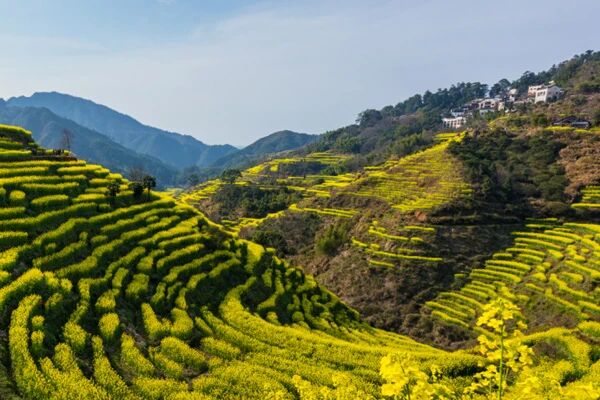 多措并举 证监会定点帮扶9县脱贫摘帽