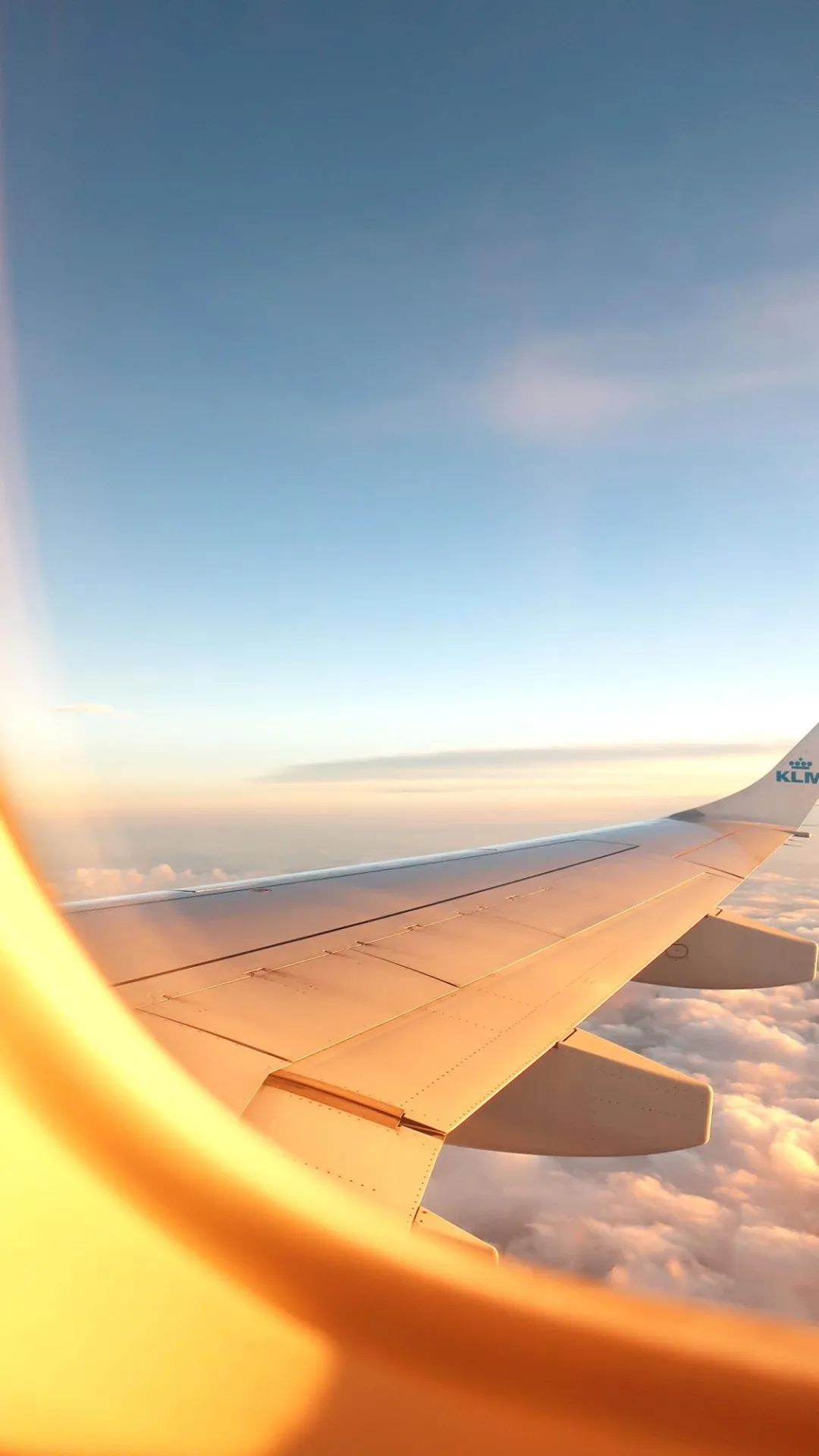 情感是生活的调味品，没有它，生活便失去了色彩。