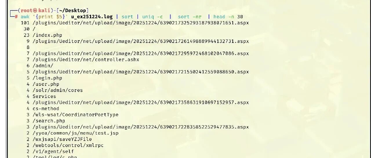 Example Image