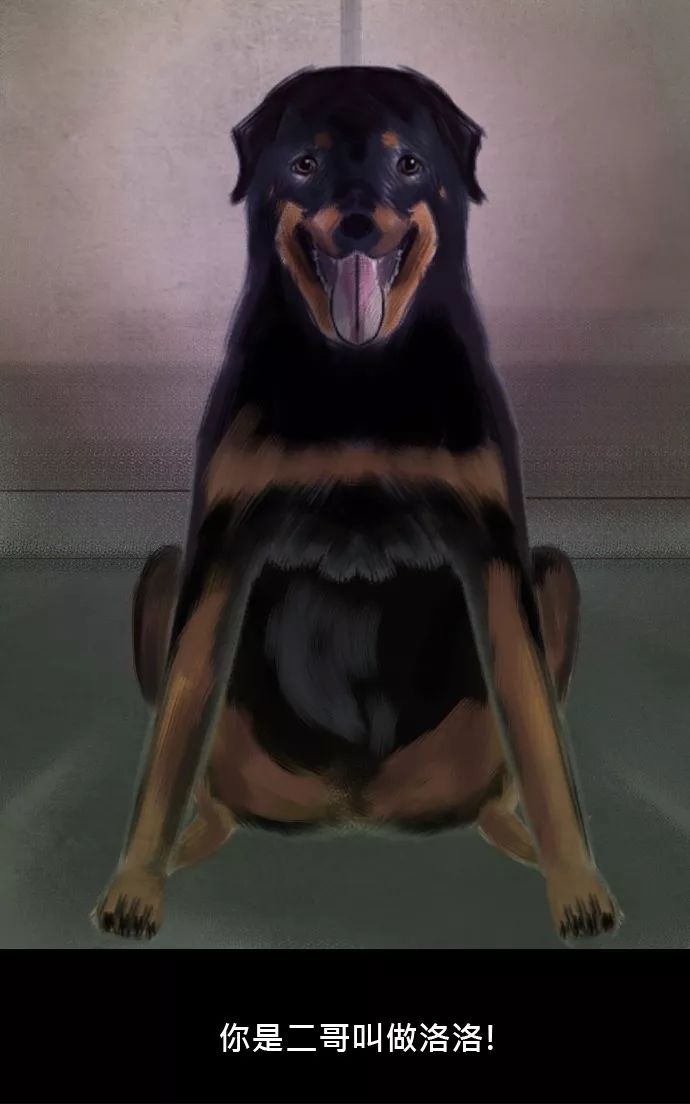 恐怖漫畫丨惡靈犬 靈異 第2張