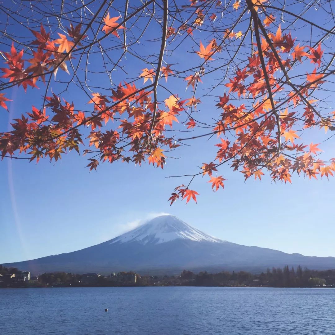 2019日本紅葉全攻略出爐！錯過再等一年！| 世界邦推薦 旅遊 第5張