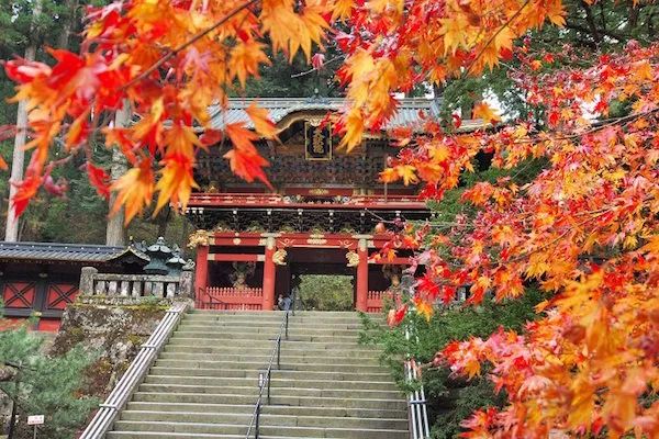 2019日本紅葉全攻略出爐！錯過再等一年！| 世界邦推薦 旅遊 第16張