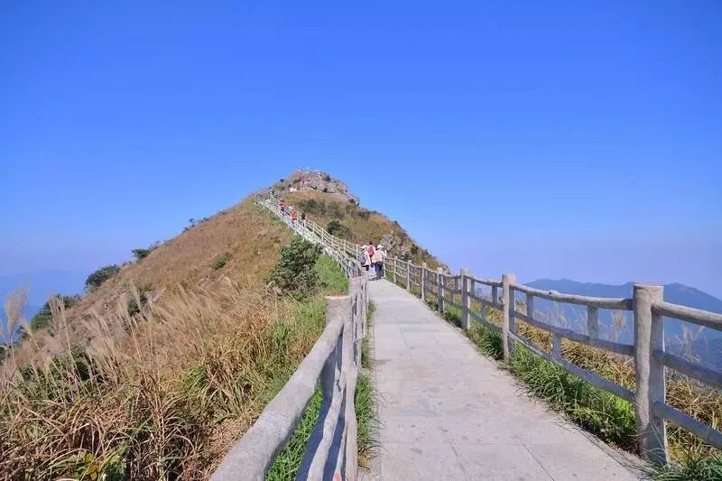 3月4号【跨市双登】攀登惠州白银嶂高山黄金草甸,赏东莞银瓶嘴茫茫大