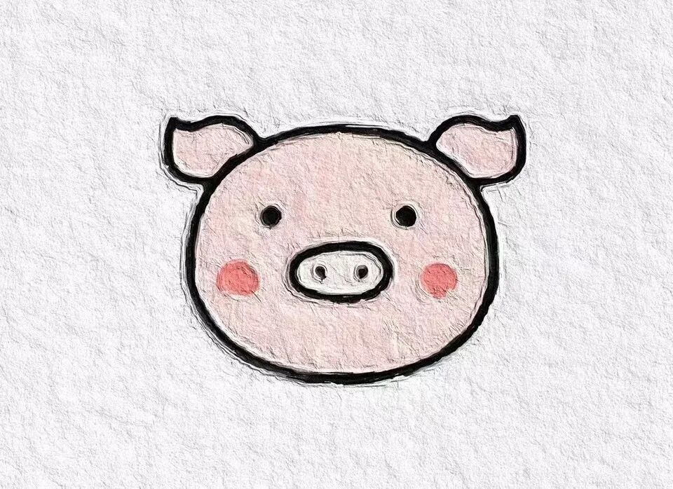 2023年属虎终于转运了_属虎运势2023年运势详解_生肖虎2023年运势完整版