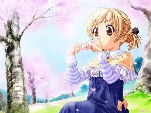 exagear太阁立志传_gba太阁立志传_太阁立志传5下载