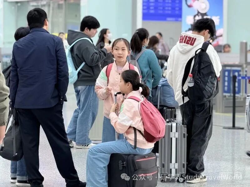 春假观察：景区“含娃量”创新高 科技+研学解锁春游新玩法