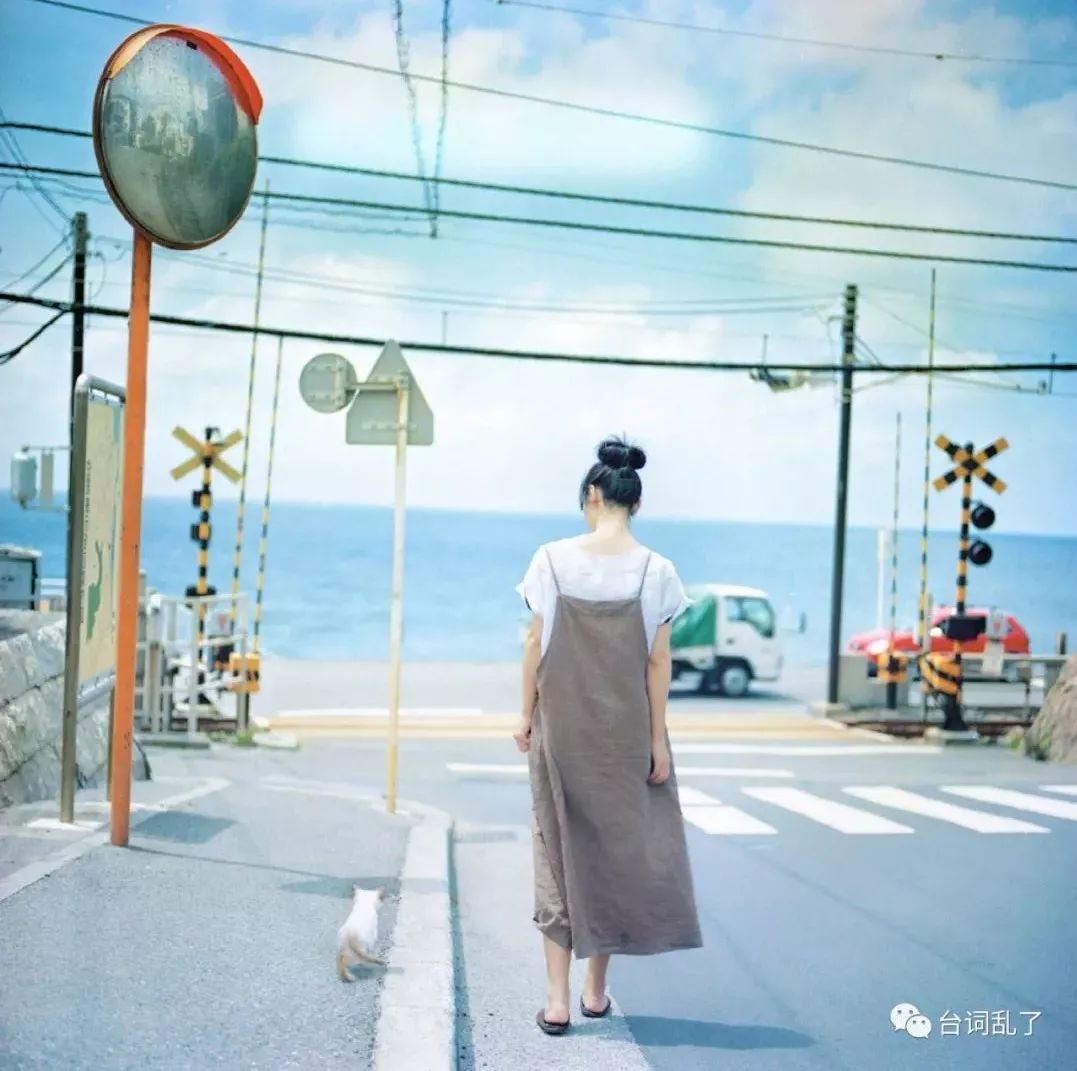 太阳雨和 狐狸出嫁 小卷的台词 微信公众号文章阅读 Wemp