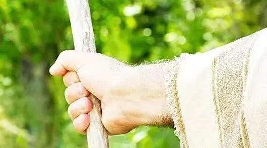 以色列十二子的祝福与预言