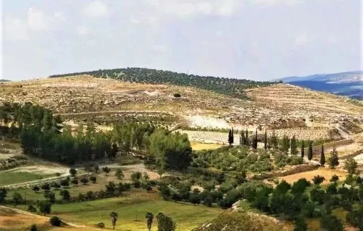 扫罗步步追杀，大卫深深熬炼