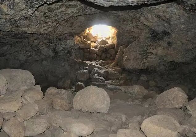 大卫：我几次流离，伤口流出赞美的诗歌