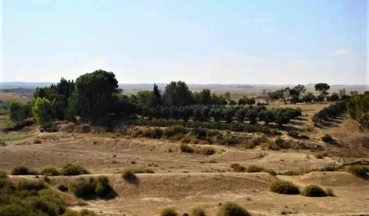 大卫：信心的洗练，恩典大过所求