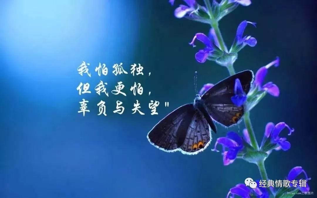 无言的结局歌词_歌词无言结局是什么歌_歌词无言的结局哪首歌