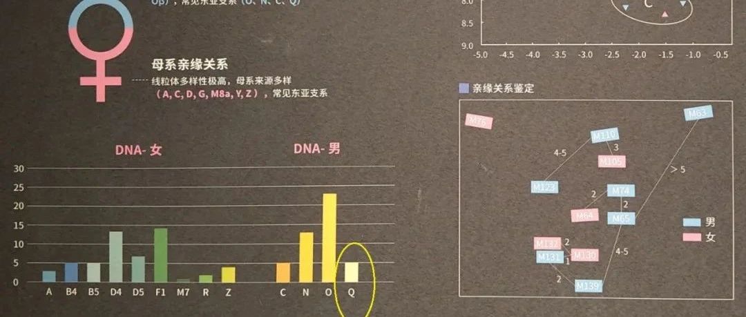 山西绛县横水北西周遗址古DNA研究2022年最新情况