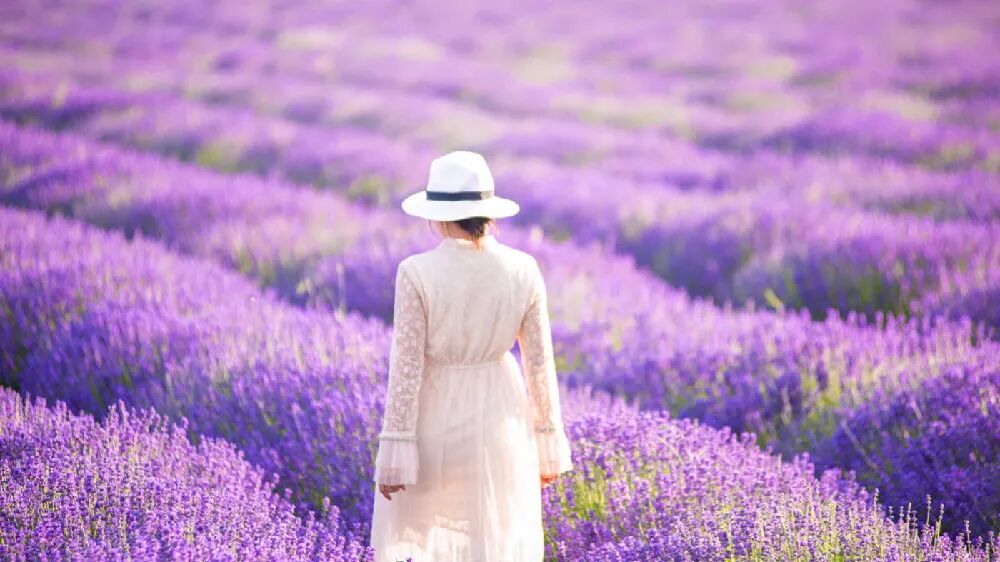 探索户外| 夏天这些地方简直是避暑遛娃的天堂