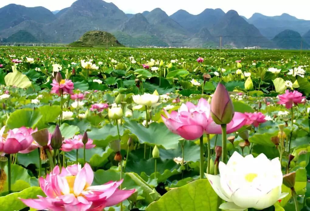 探索户外| 夏天这些地方简直是避暑遛娃的天堂