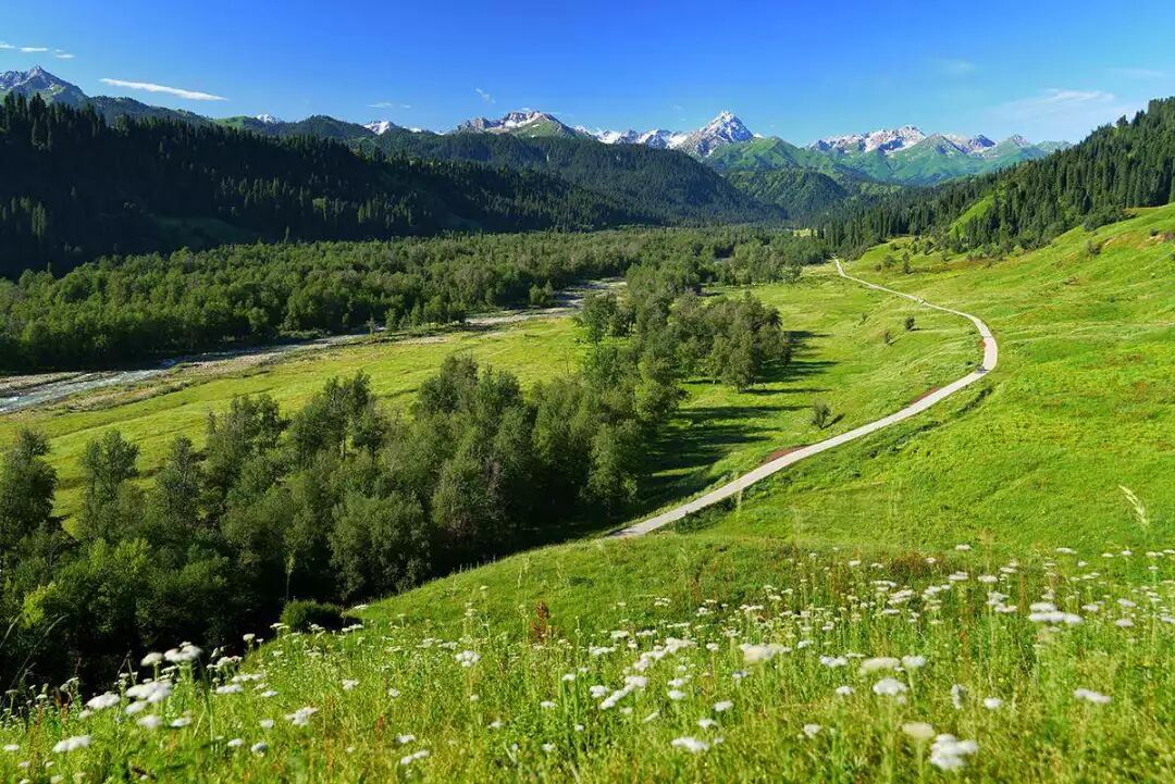 探索户外| 夏天这些地方简直是避暑遛娃的天堂
