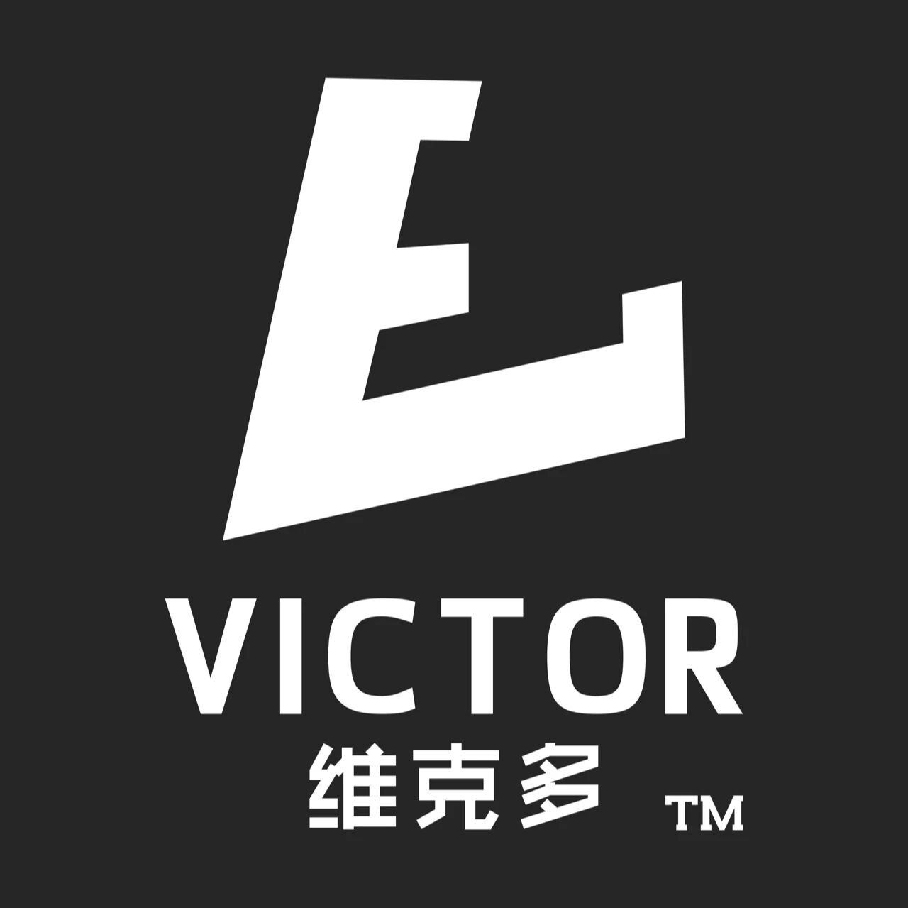 上海维克多教育科技有限公司