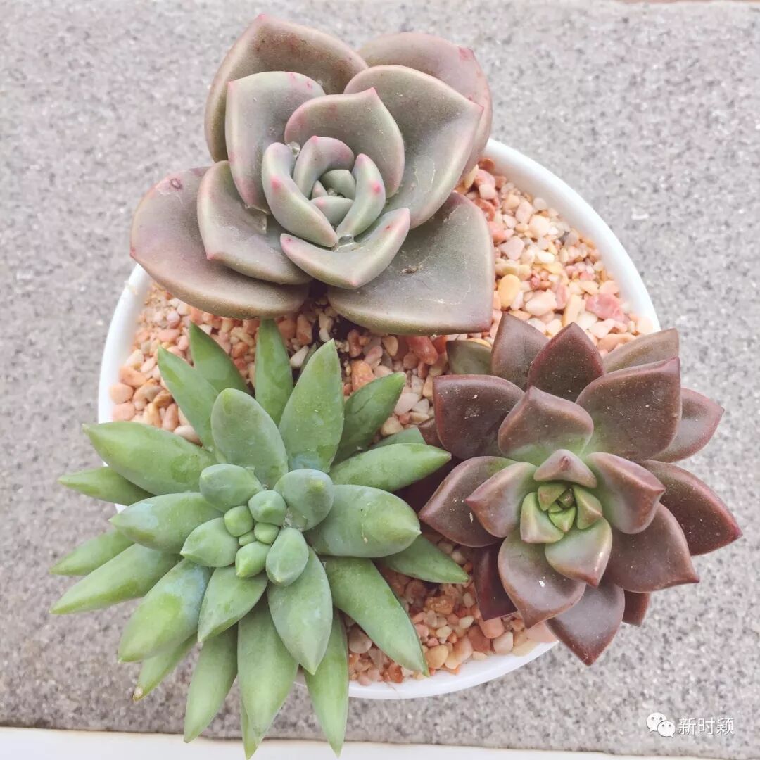 女王节｜请你相信，你的坚持，终将美好！(图8)