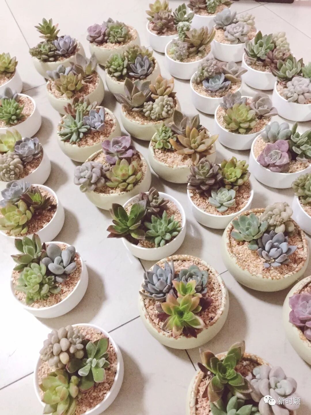 女王节｜请你相信，你的坚持，终将美好！(图6)