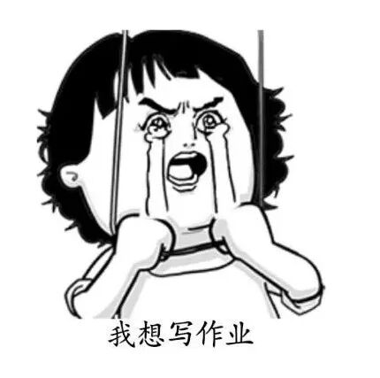 滴~滴滴！雏鹰计划发车啦！(图1)