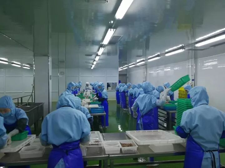 固耐特高性能聚氨酯砂浆地坪